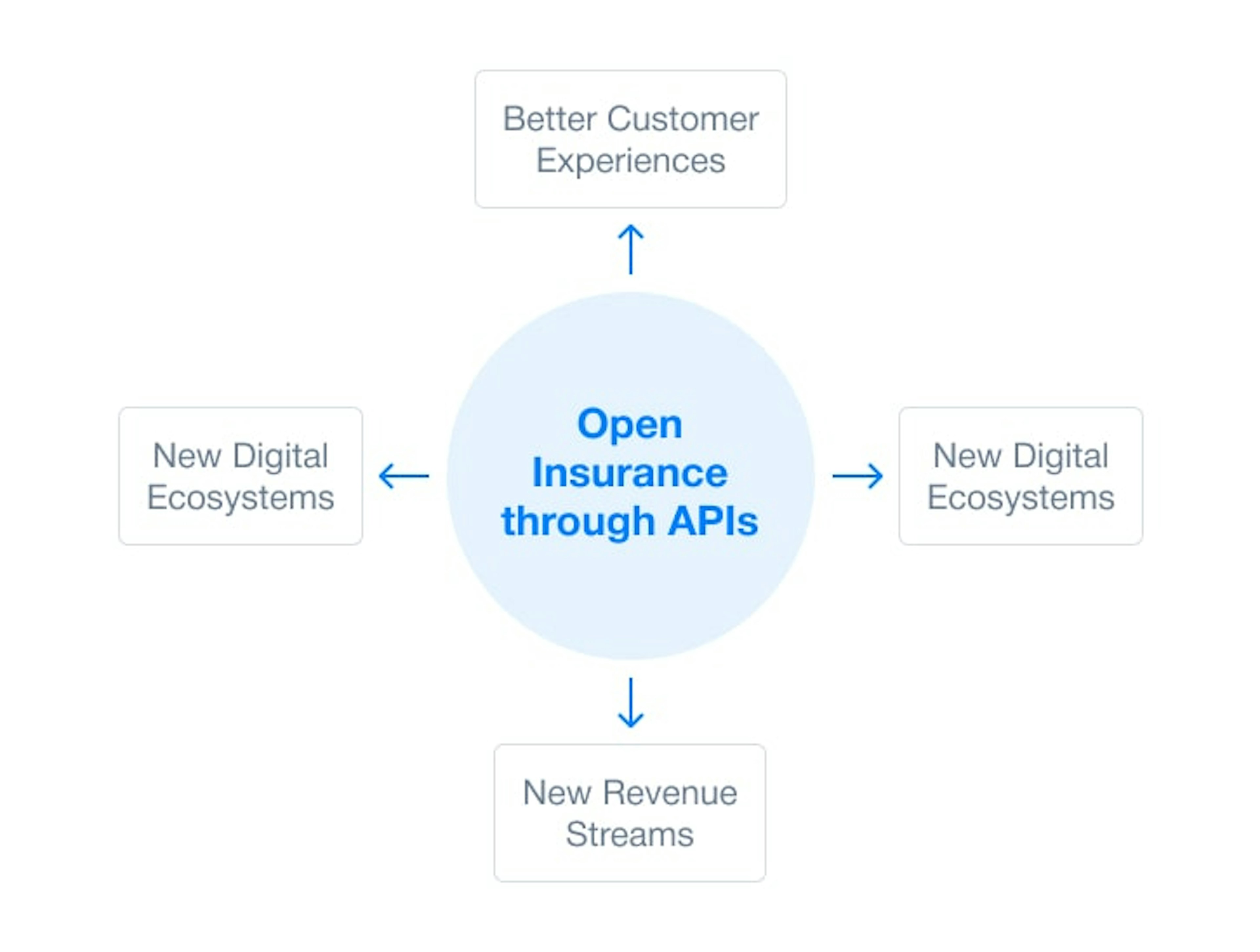 Insurance API